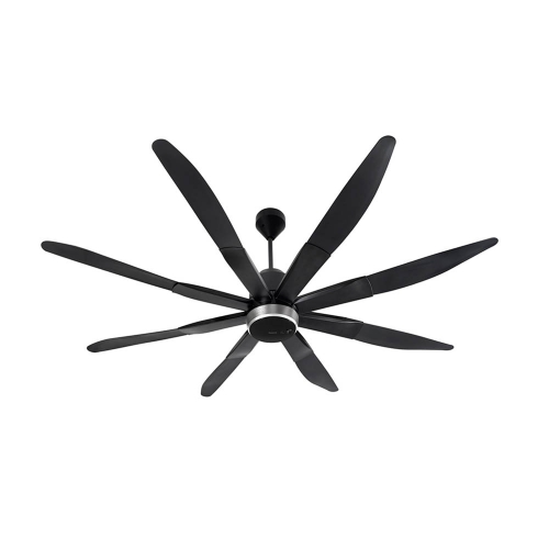 Quạt trần F-80ZBR