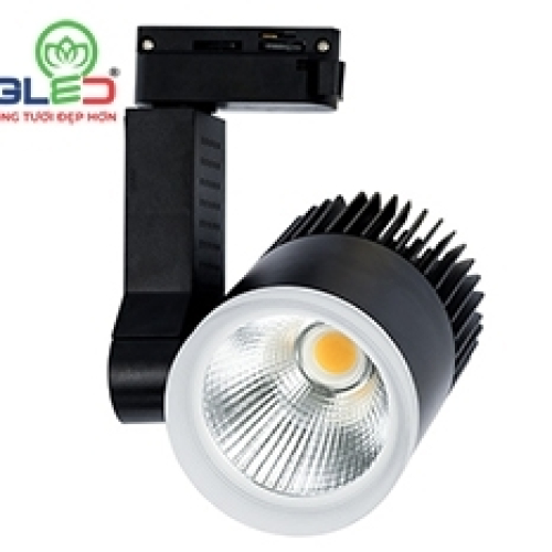 ĐÈN RỌI RAY BERYL 30W VỎ ĐEN (DTL-30SS-V/TT/T-D)