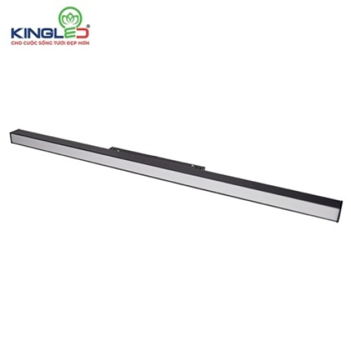 Đèn Rọi Ray Nam Châm TQA 20W RNC-20SS-TQA-T/V/TT