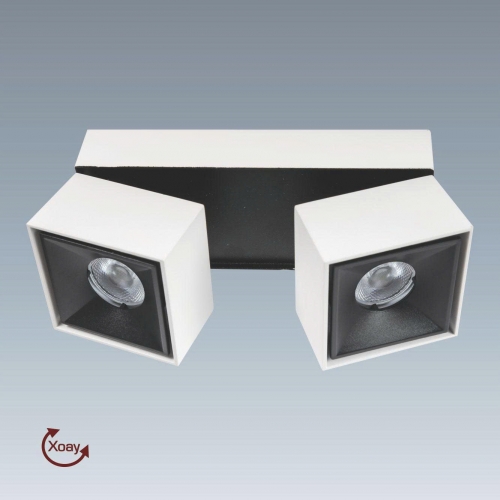 Đèn LED ốp nổi vuông xoay góc Anfaco AFC 766/2-12W